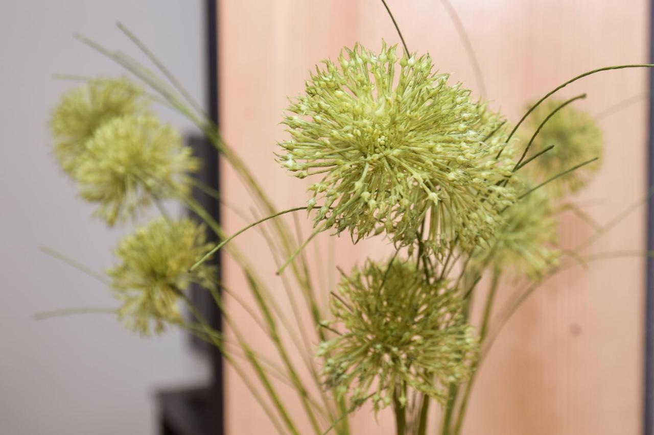 Apartman Buongiorno 亚伊采 外观 照片